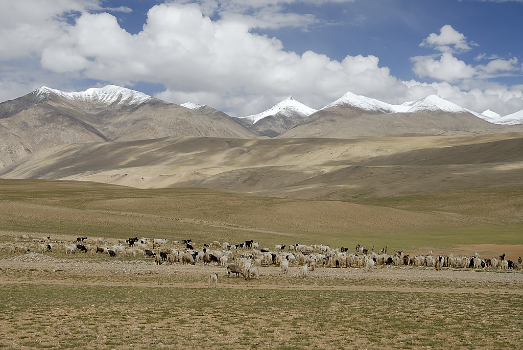 060818-10.jpg - Kiagar Tso