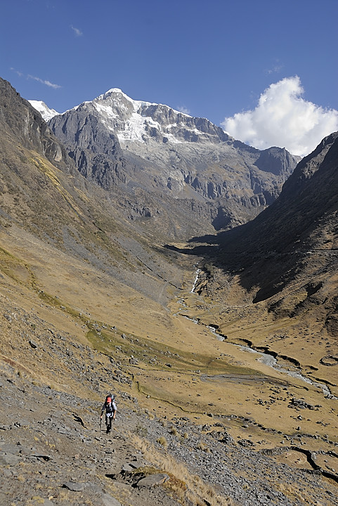 080723-17.jpg - Monte au dessus de l'Estancia Utana Pampa : valle de la Janq'Uma et massif de l'Illampu