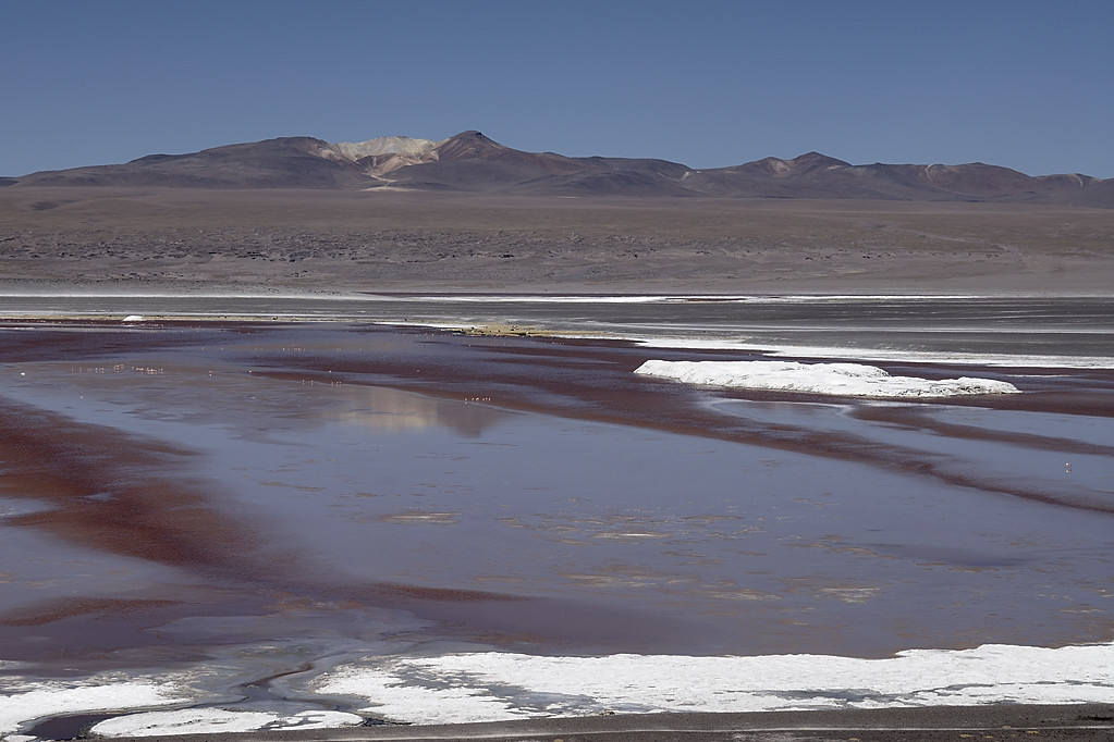 080806-093.jpg - Laguna Colorada