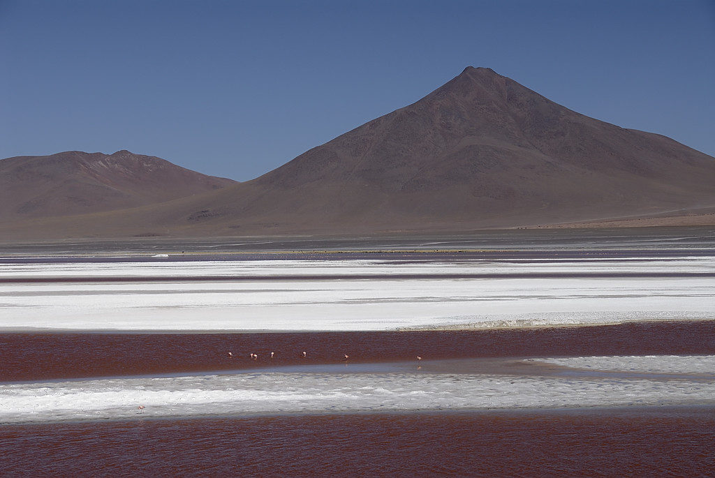 080806-099.jpg - Laguna Colorada