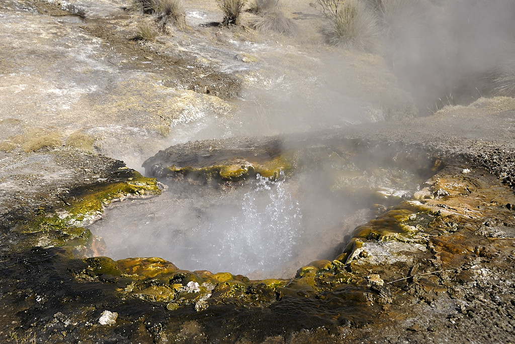 080810-16.jpg - Geysers