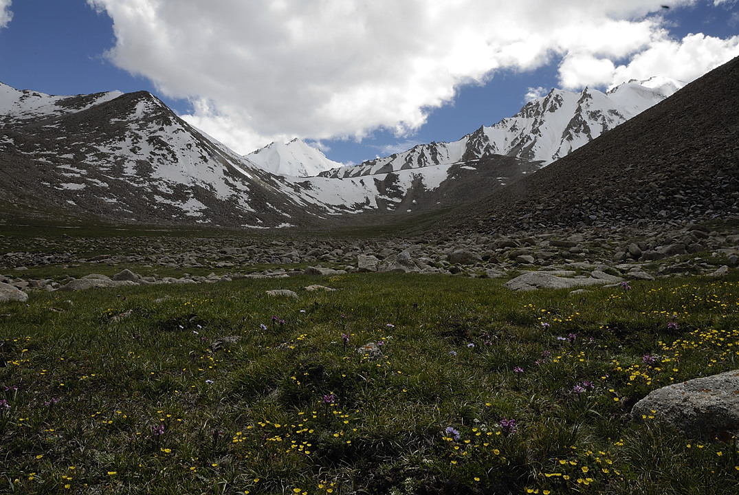 100804-134022.jpg - Monte au Kota i Sargaz