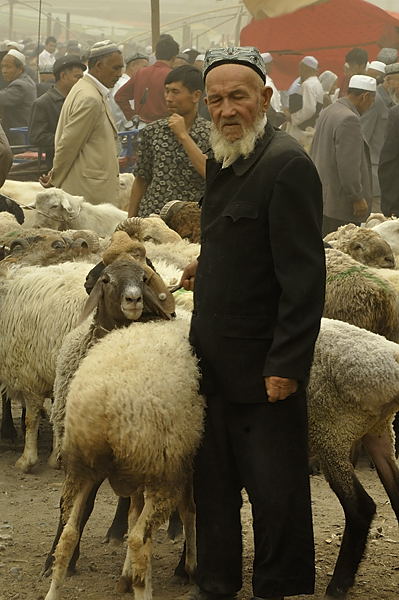 _PPB9581.jpg - Kashgar : march aux bestiaux
