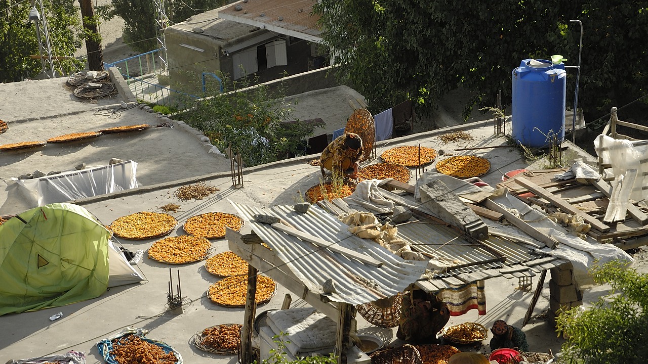 120803-173244.jpg - Karimabad, Séchage des abricots