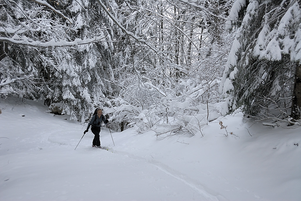080113-02.jpg - Sur le GR