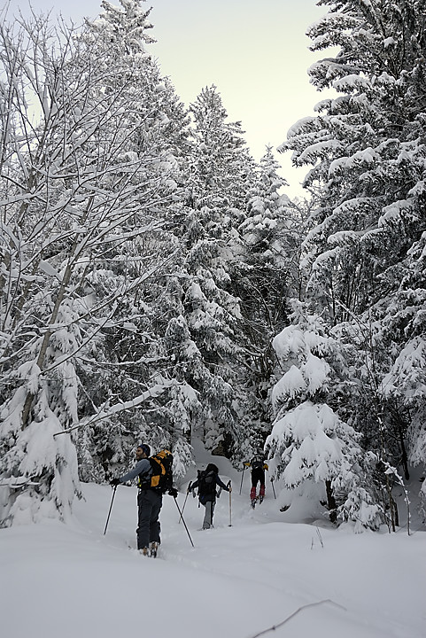080113-03.jpg - Sur le GR