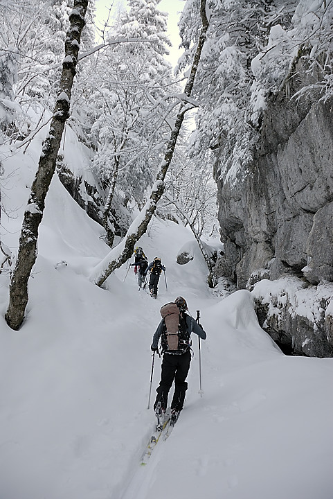 080113-07.jpg - Du GR au pr de Pratcel