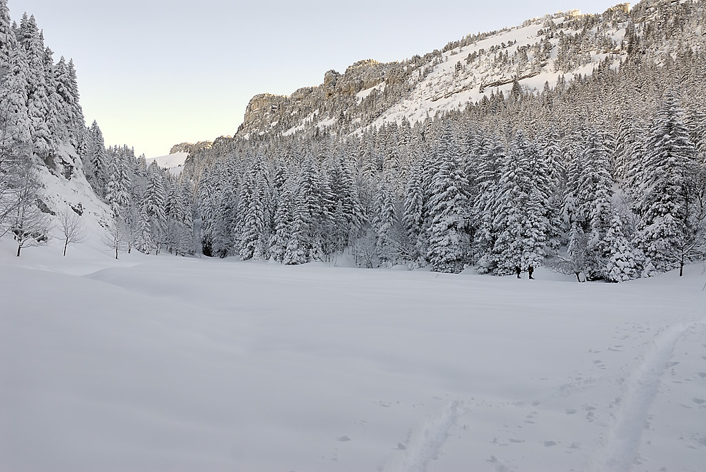 080113-09.jpg - Pr de Pratcel