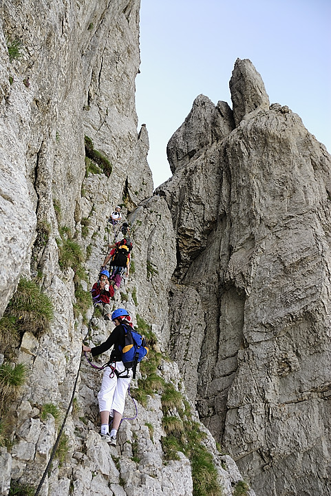 080629-02.jpg - Dans la monte