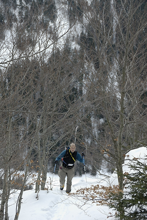 081223-02.jpg - O est le sentier ?