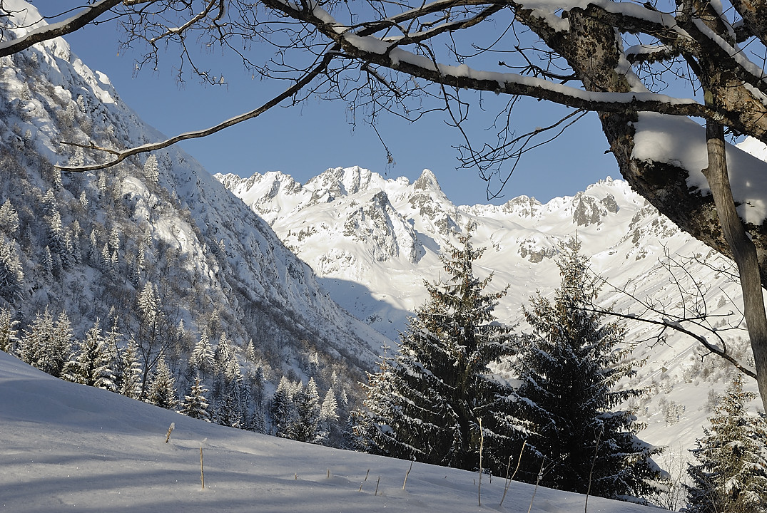 100213-04.jpg - Vallon du Tepey