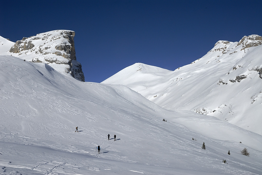 100306-06.jpg - Entre du vallon, Roche Courbe et Grand Ferrand