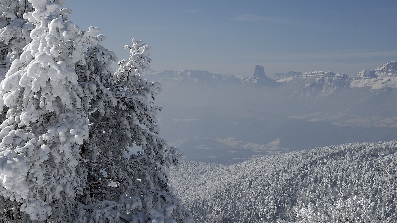 120205-102349.jpg