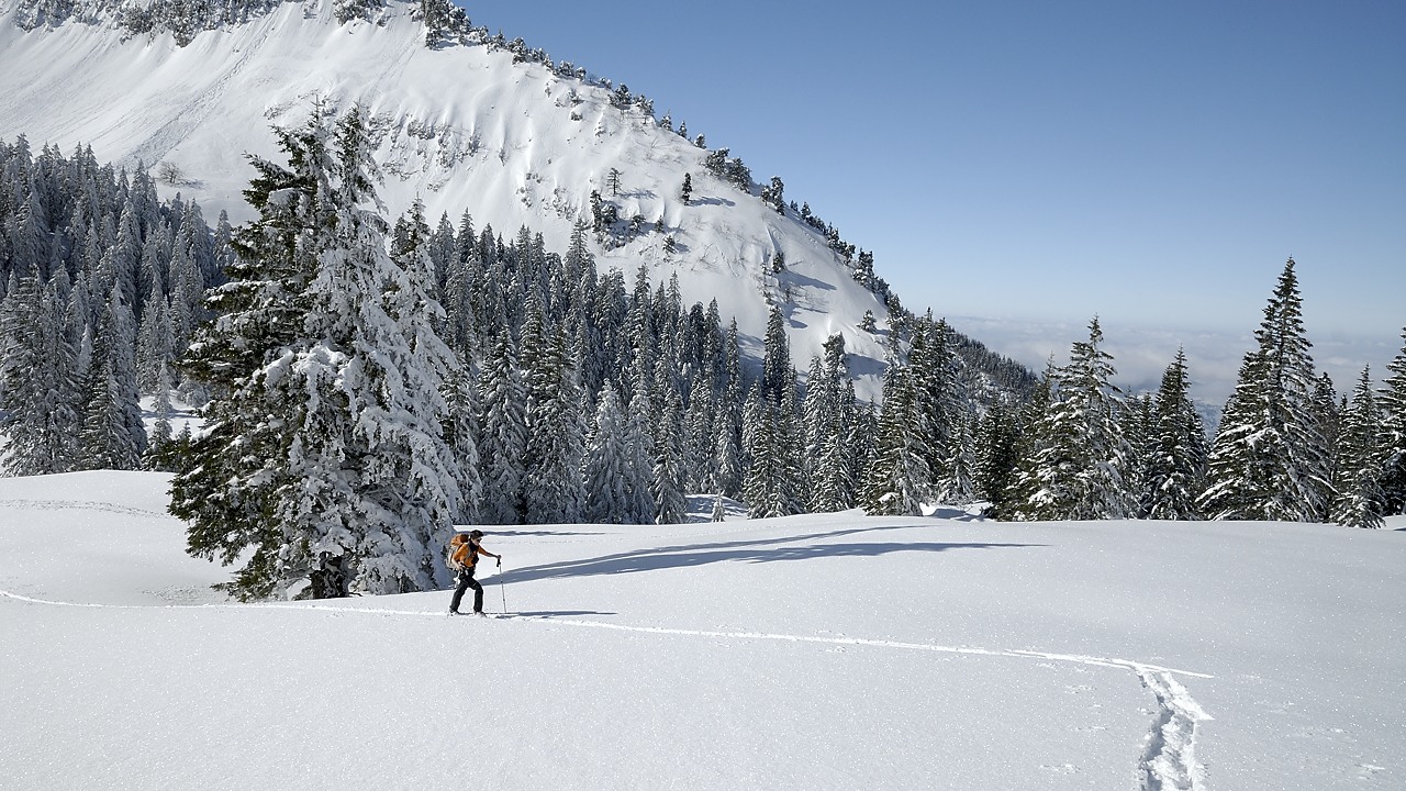 130216-140728.jpg - Remonte au col de la Charmille